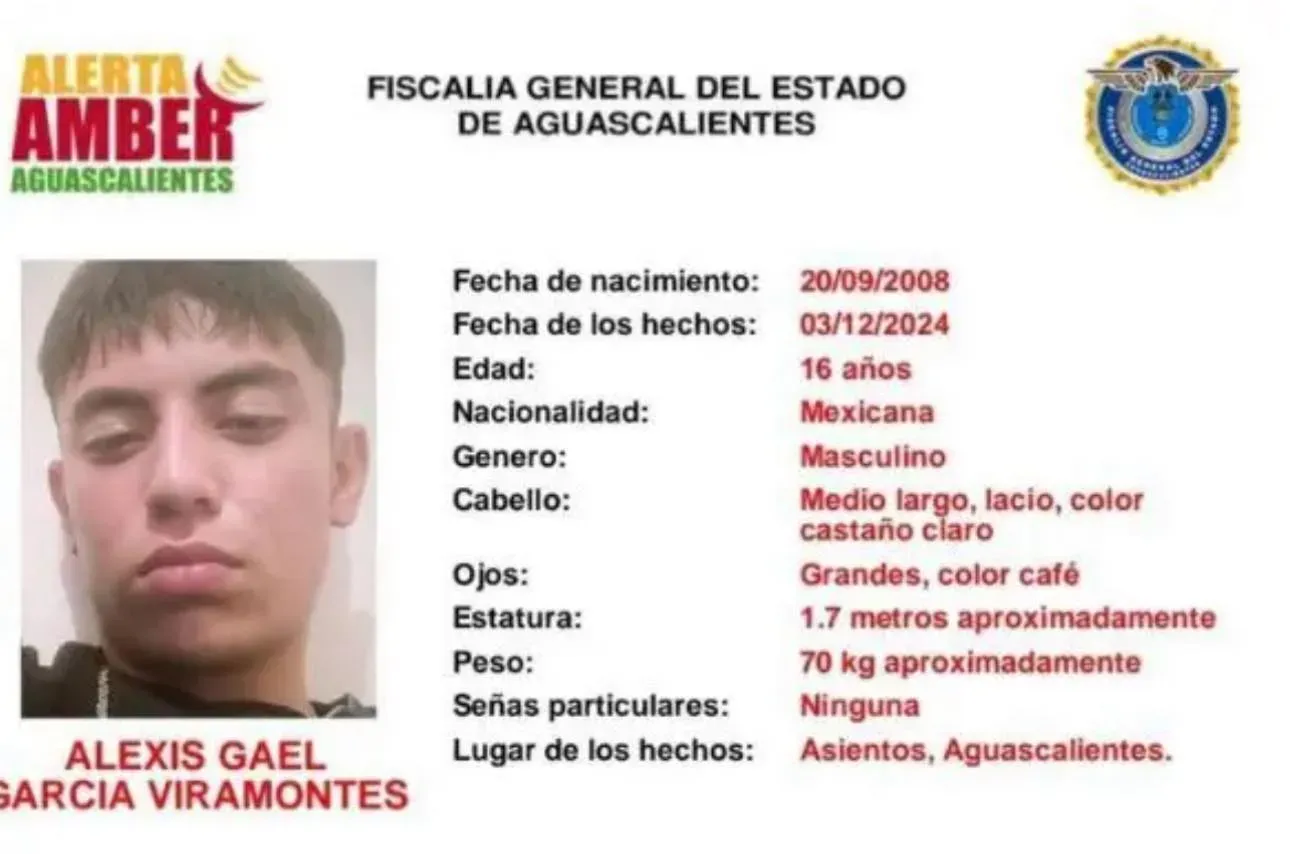 Ficha de desaparición Alexis Gael García Viramontes