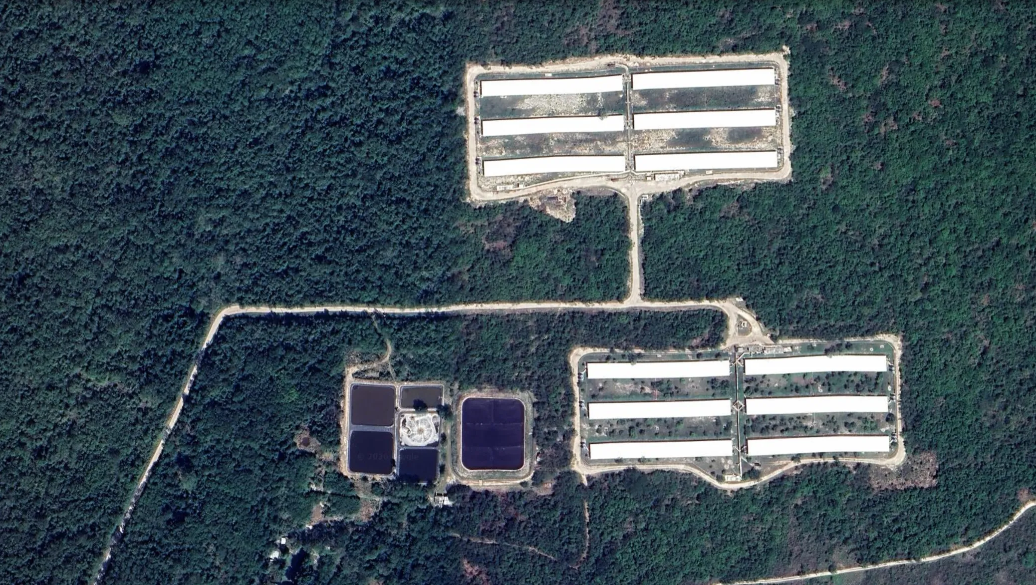 Vista satelital de una granja porcícola de 12 naves en la comunidad maya de Sitilpech, en el municipio de Izamal, en el sudoriental estado de Yucatán, y escenario de fuerte rechazo a esas instalaciones industriales por los altos niveles de contaminación que generan. IMAGEN: Google Earth