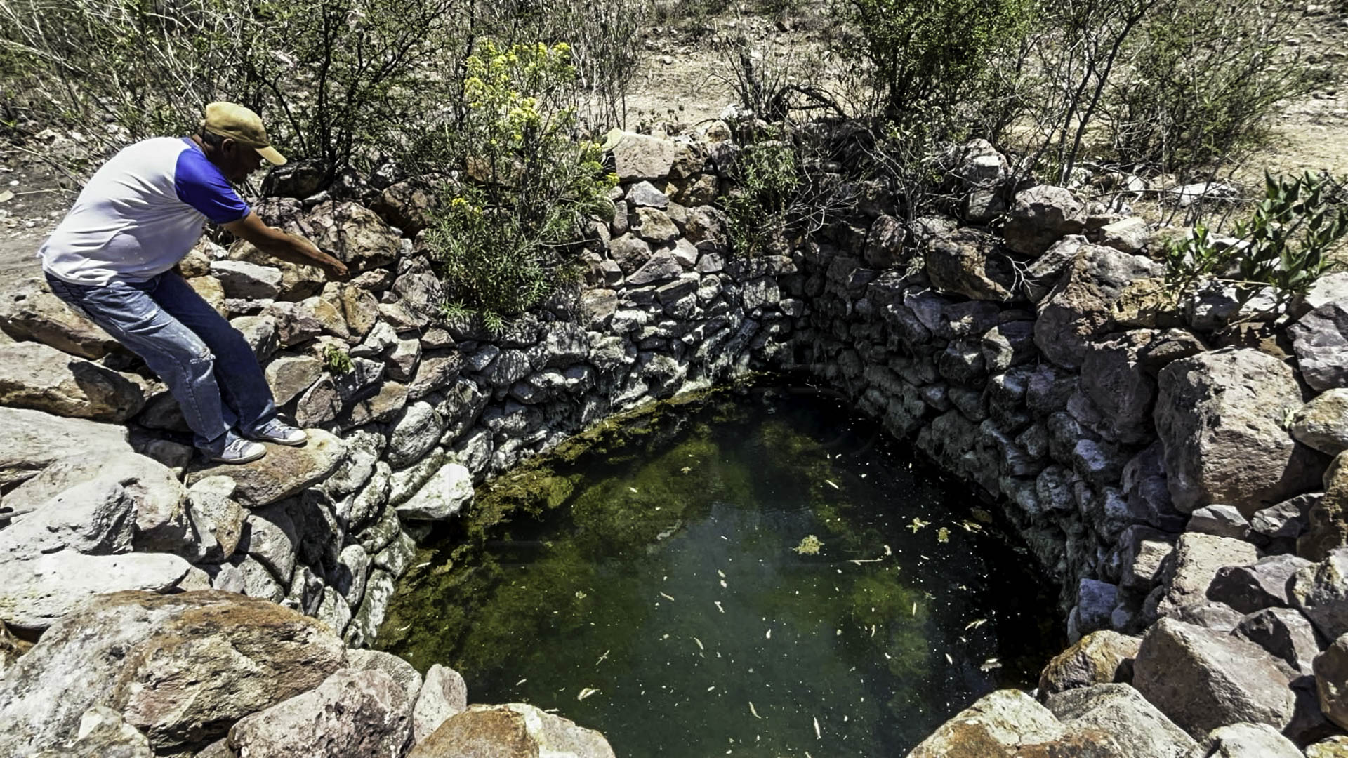 Agua, una crisis de años que sobrellevan comunidades y colonias de Irapuato