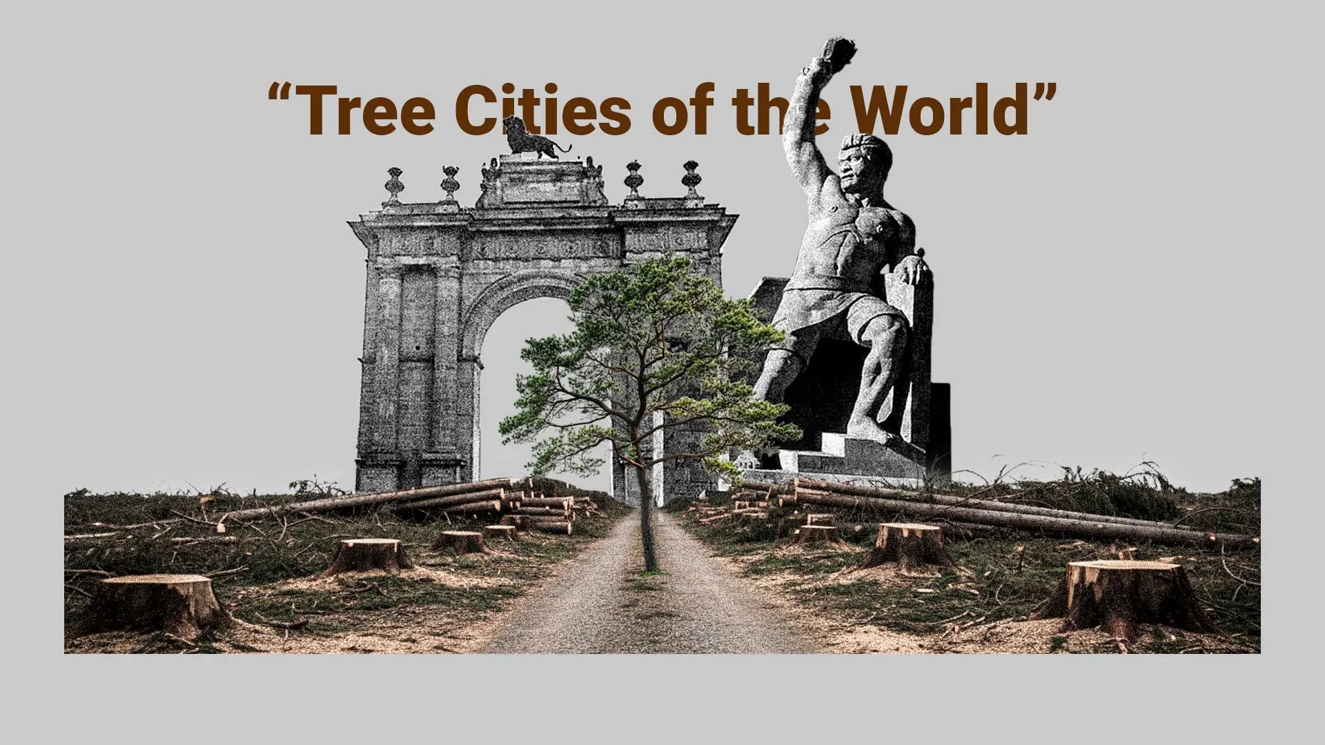 portada_ciudad_arbol.jpg