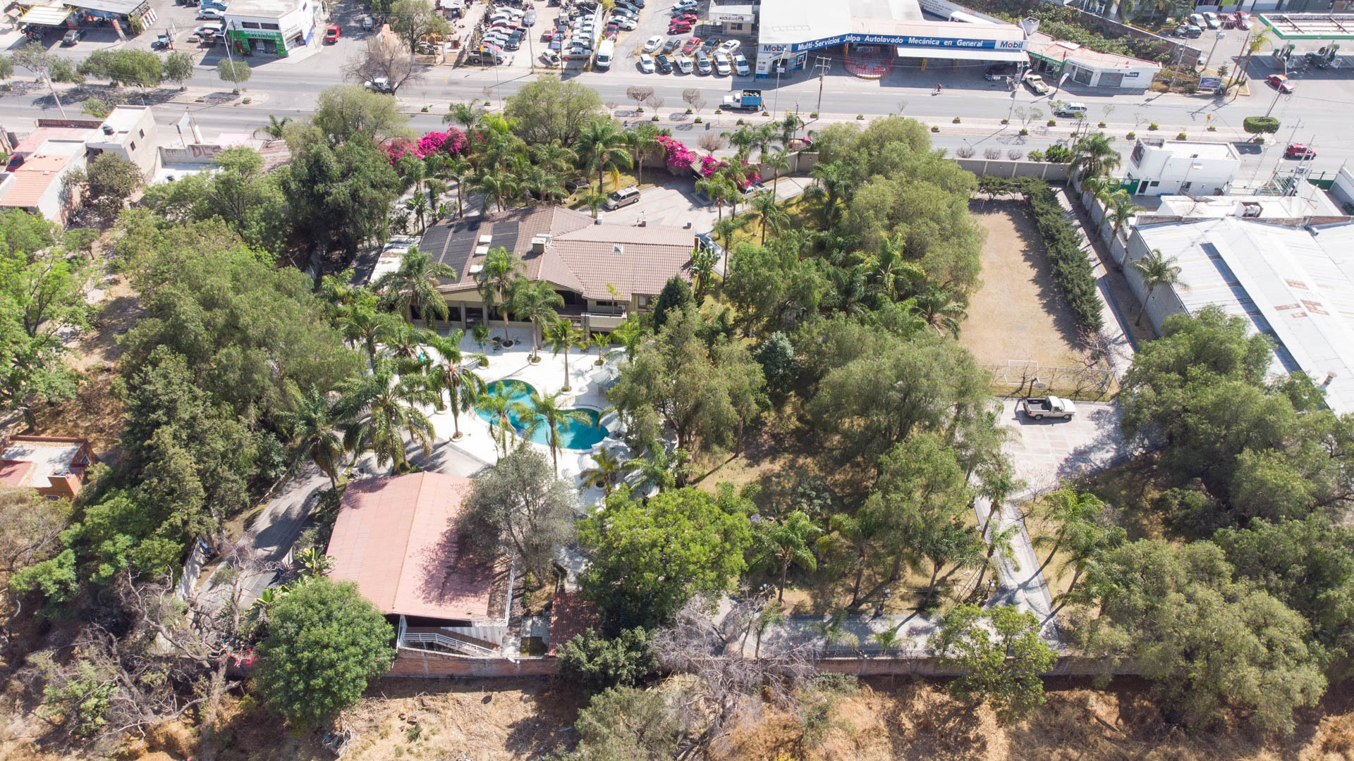 Para que llegue Walmart a Purísima del Rincón será necesario talar 300 árboles; ayuntamiento autoriza cambiar uso de suelo