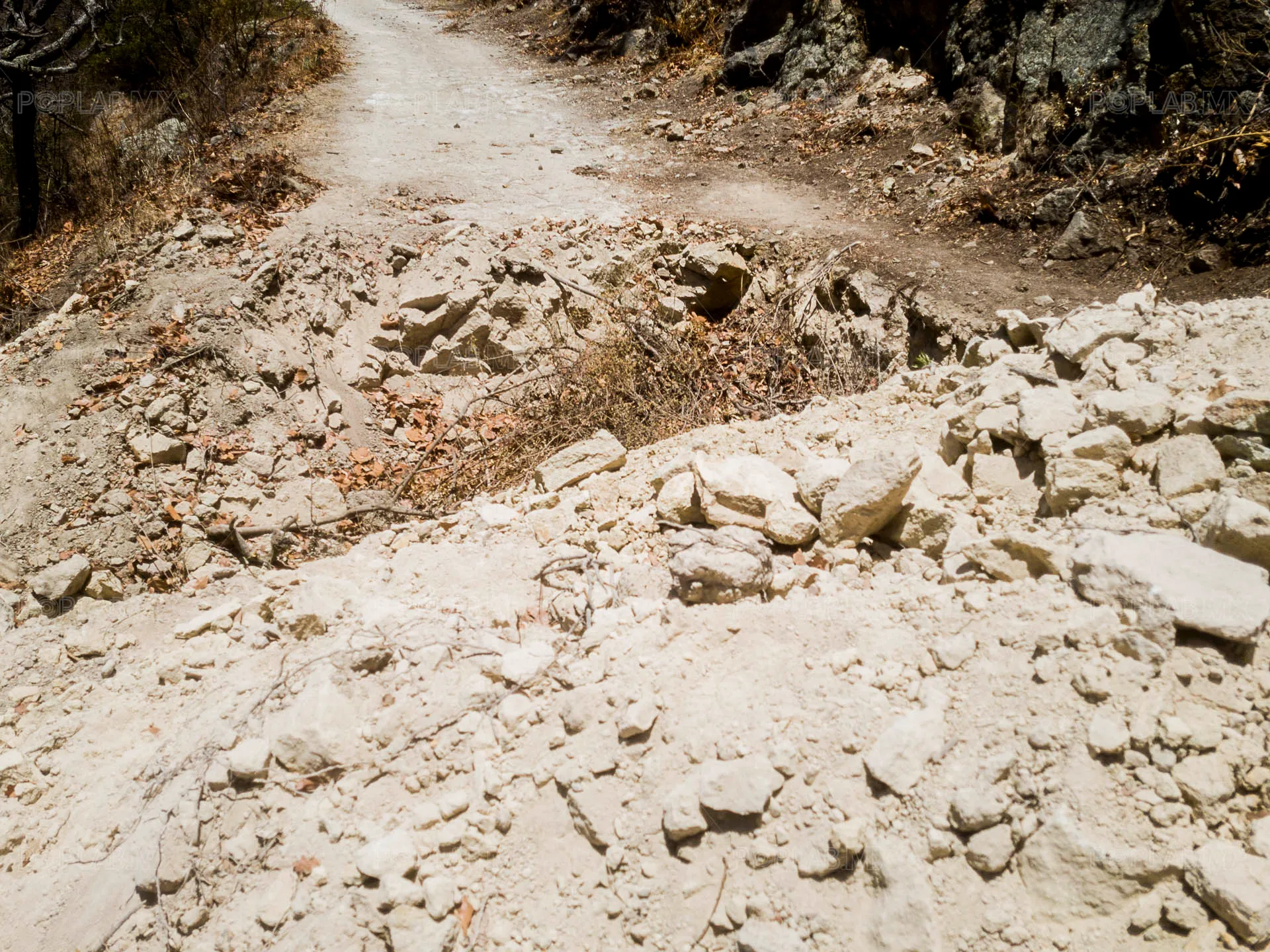 Foto: Juan José L. Plascencia