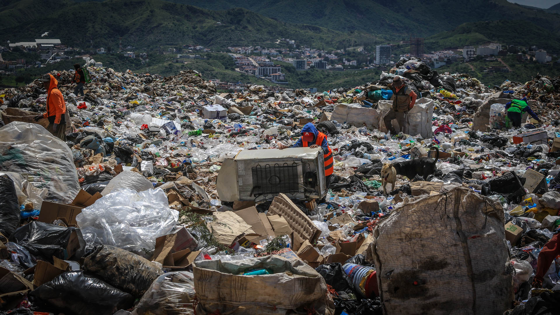 Barrer debajo de la alfombra: basura en Guanajuato capital, problema de grandes dimensiones