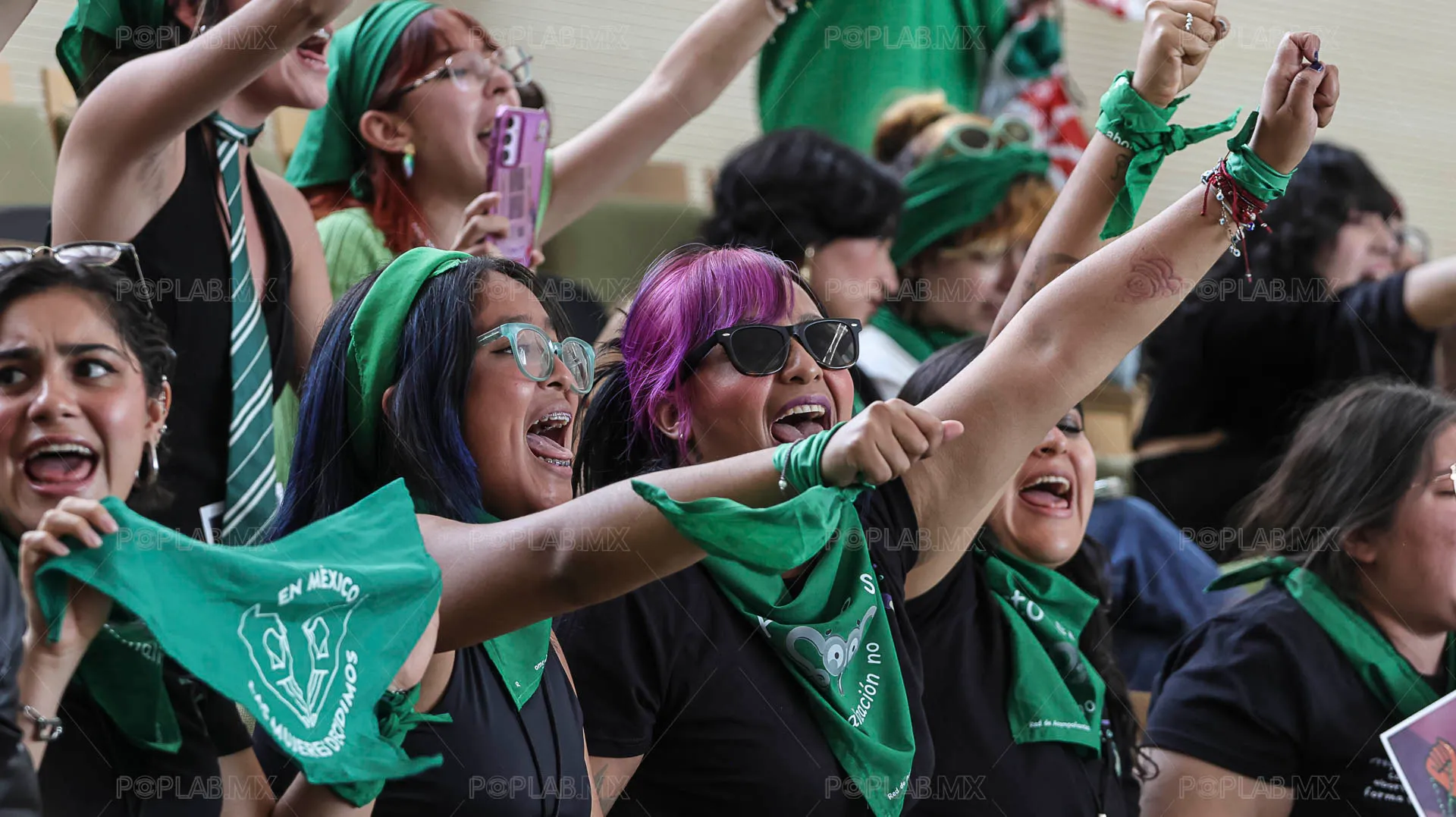 despenalizacion_aborto_gto_congreso-8.jpg