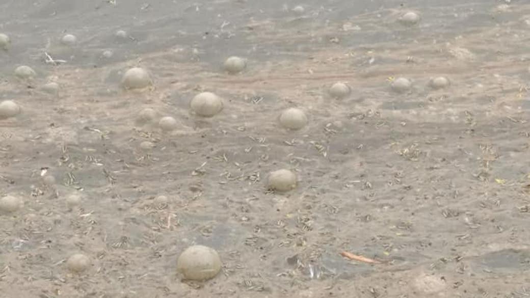 Valida Municipio que City Park descargue aguas en humedal de Los Cárcamos; “cumple con parámetros ambientales”, justifica