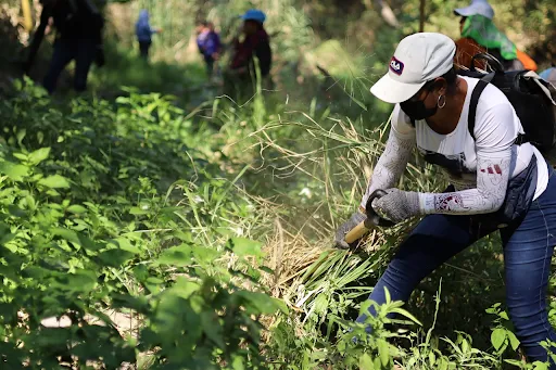 VIDEO: Encontrar esperanza en la VII Brigada Nacional de Búsqueda