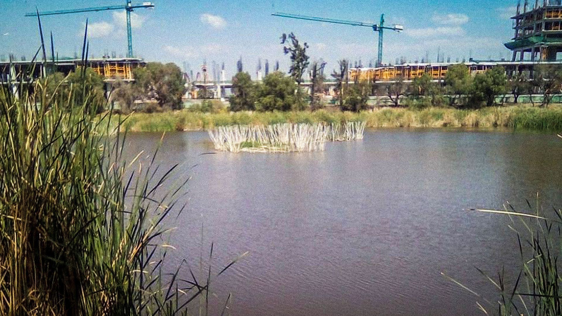 Llama la defensa del Humedal Los Cárcamos al empresario Omar Quezada a replantear City Center