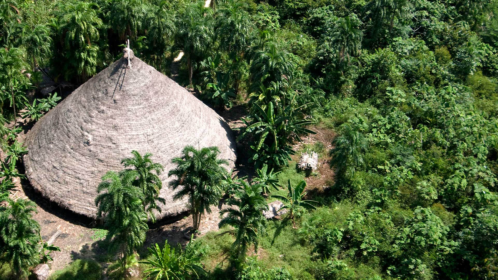 "Nuestro jefe es nuestro principal rival", cuenta servidor de fundación encargada de la política indígena de Brasil