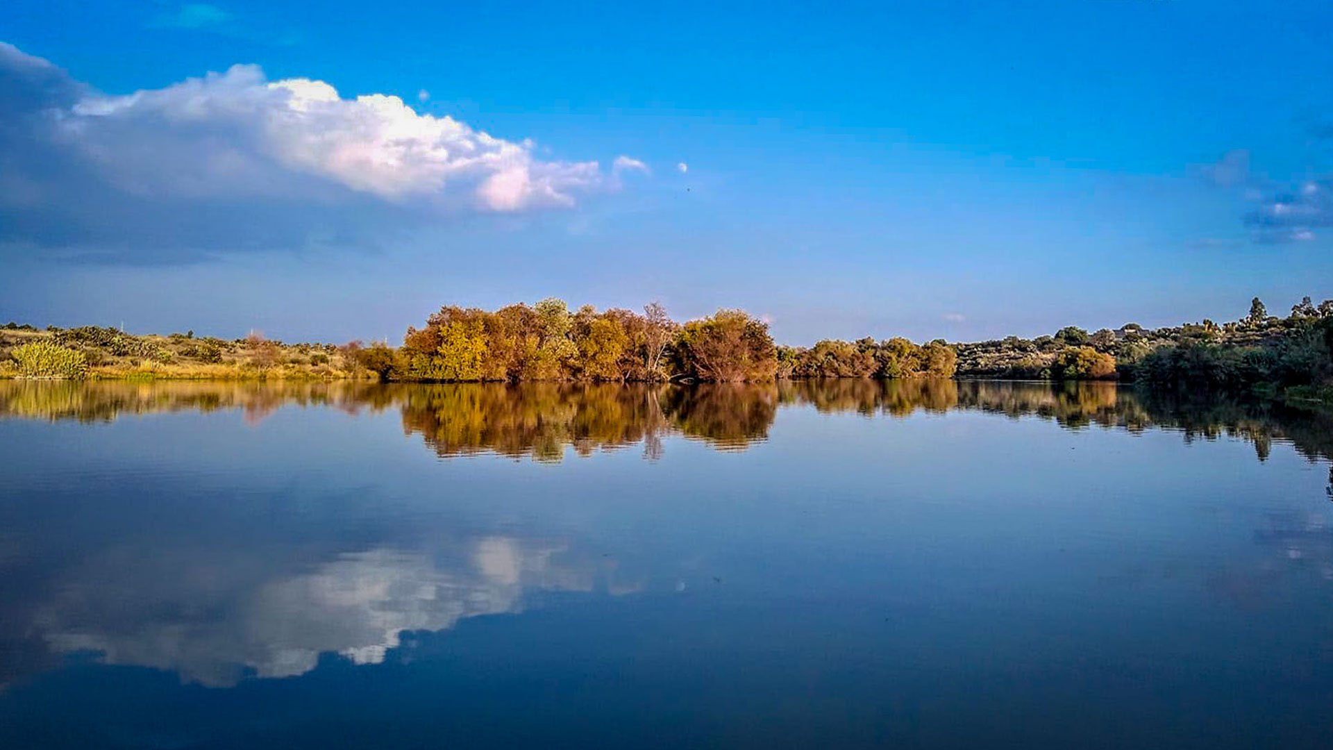 Frena tribunal acción de Villarreal para modificar zona ecológica en SMA