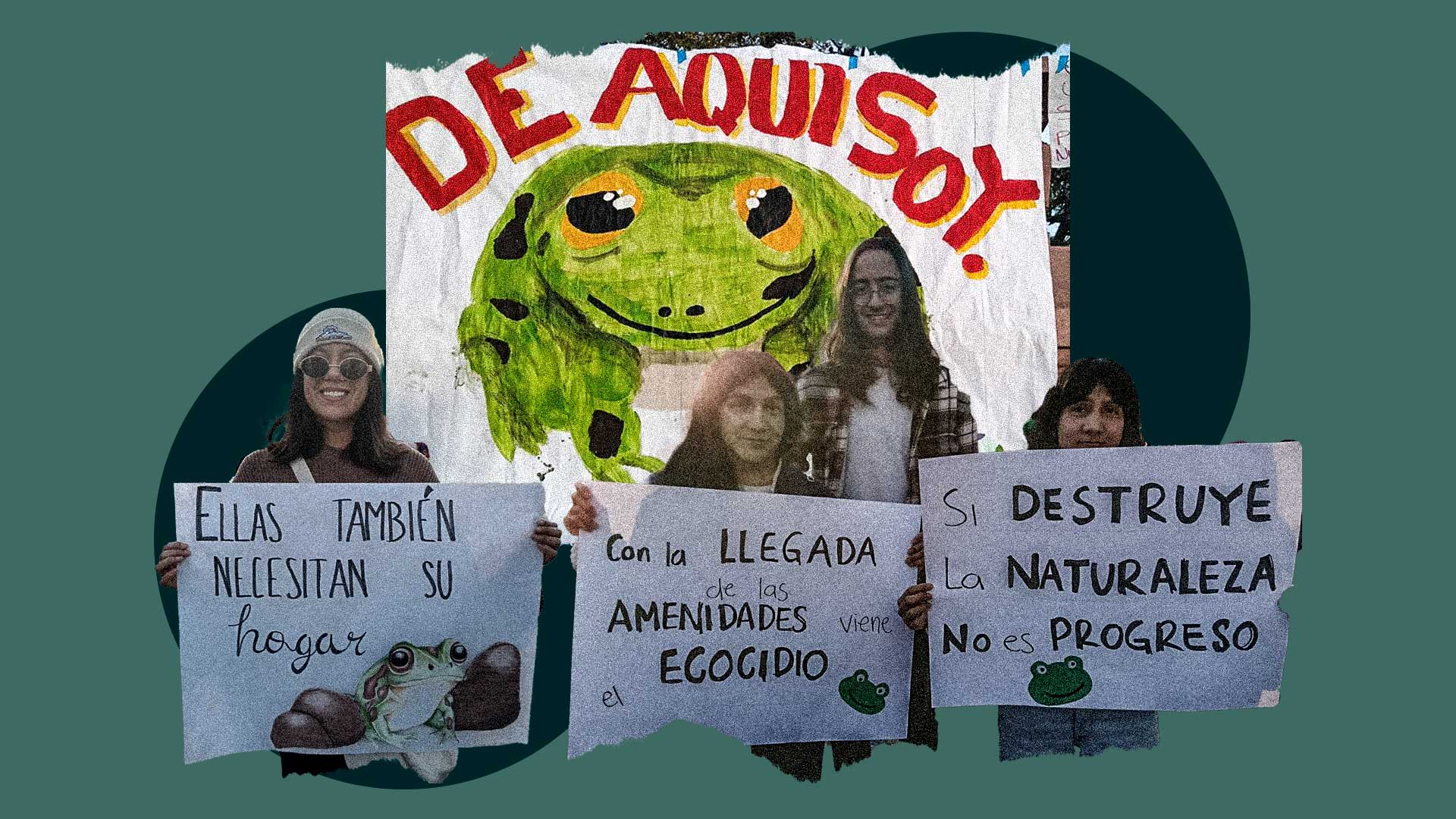 En Aguascalientes, ciudadanía se manifiesta en defensa de rana de madriguera; no existen programas de protección