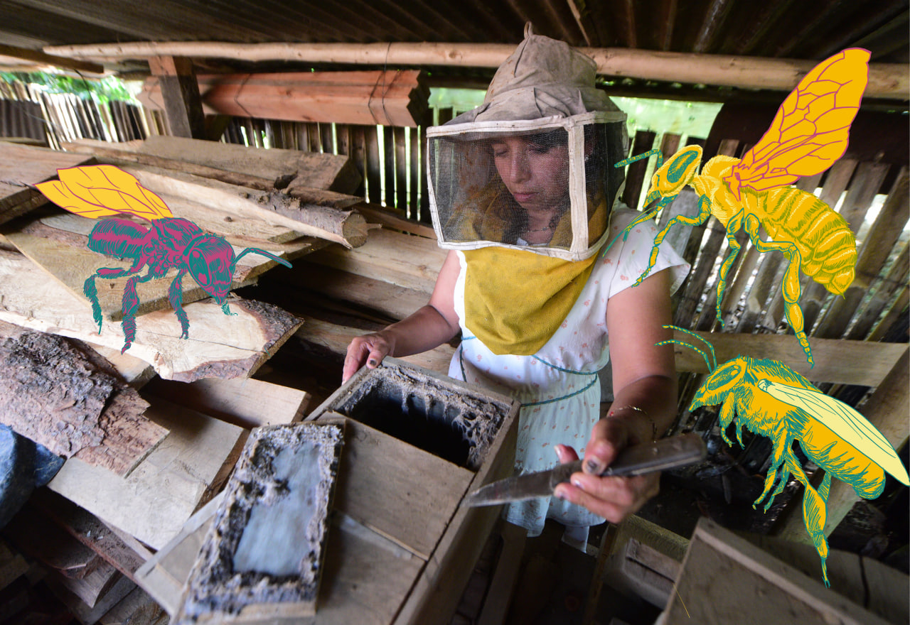 Las guardianas de las abejas