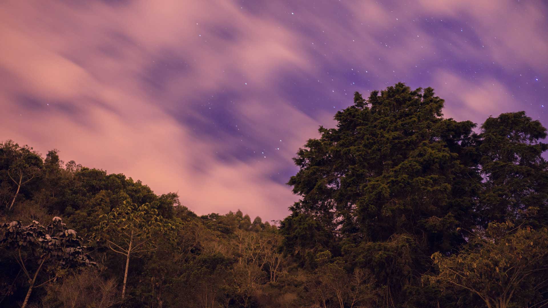 Un dios que trae la muerte