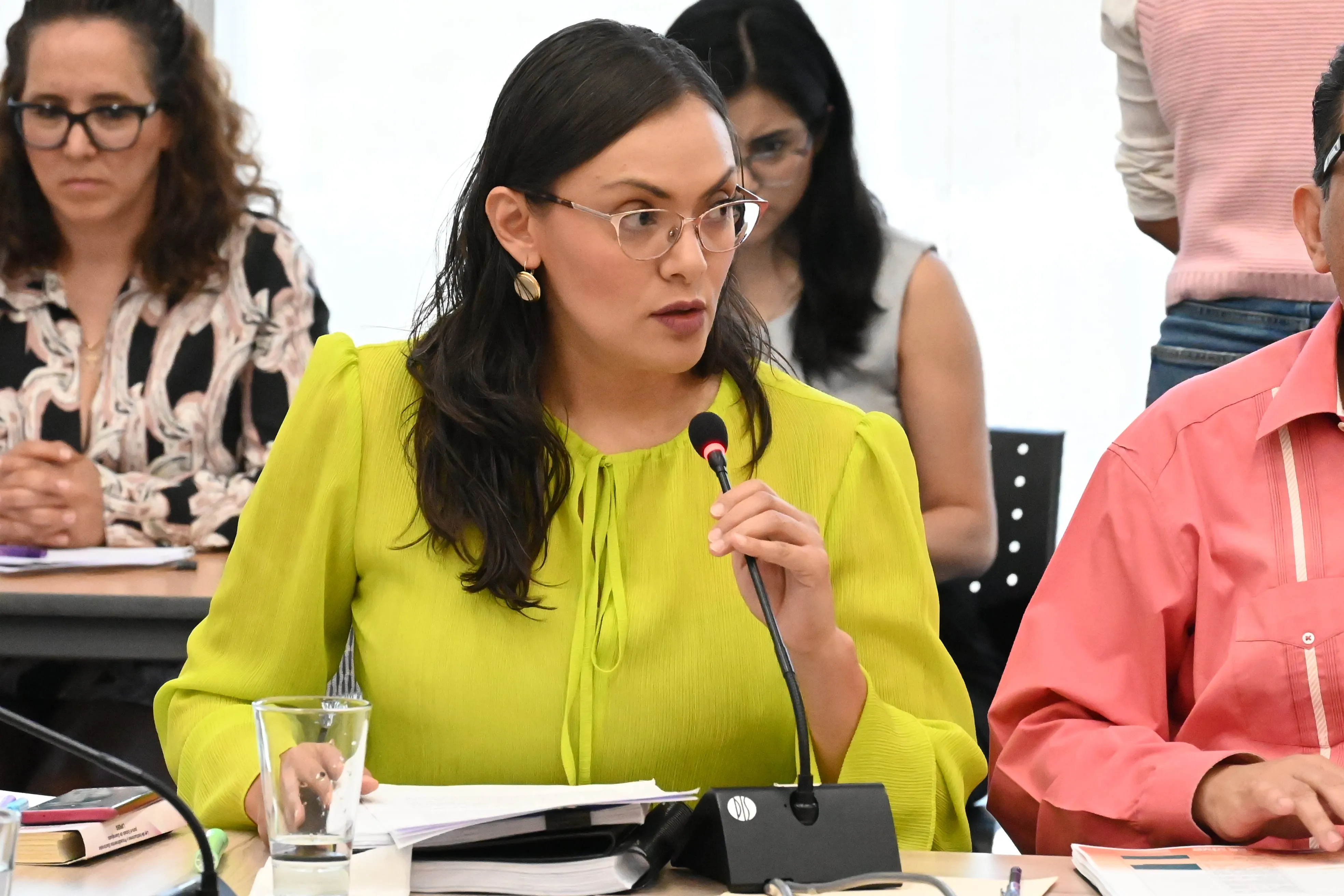 María Concepción Aboites