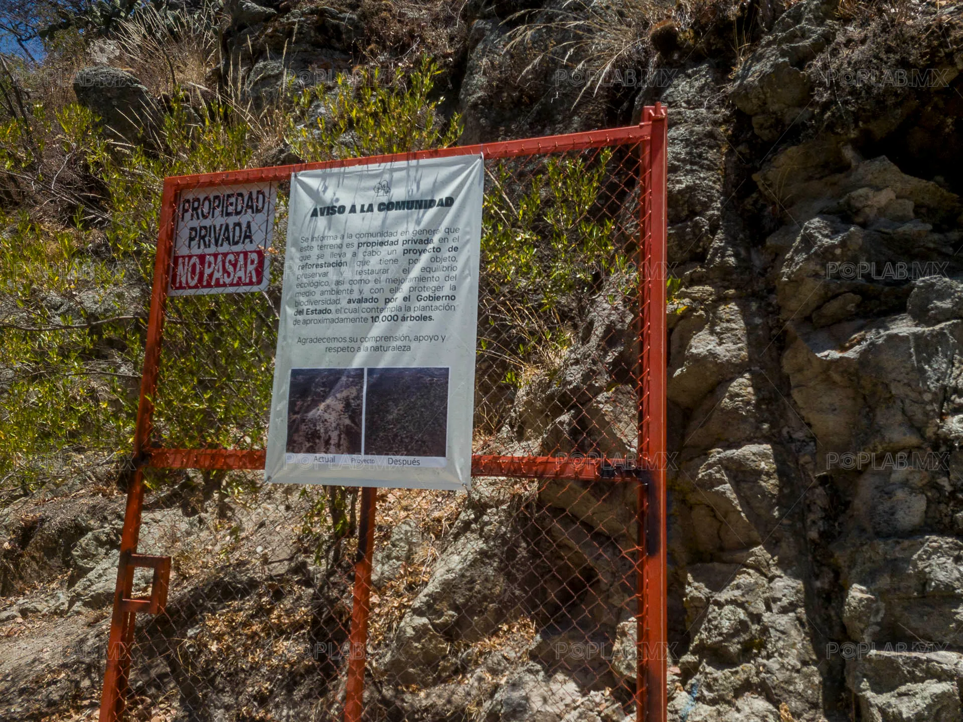 Foto: Juan José L. Plascencia