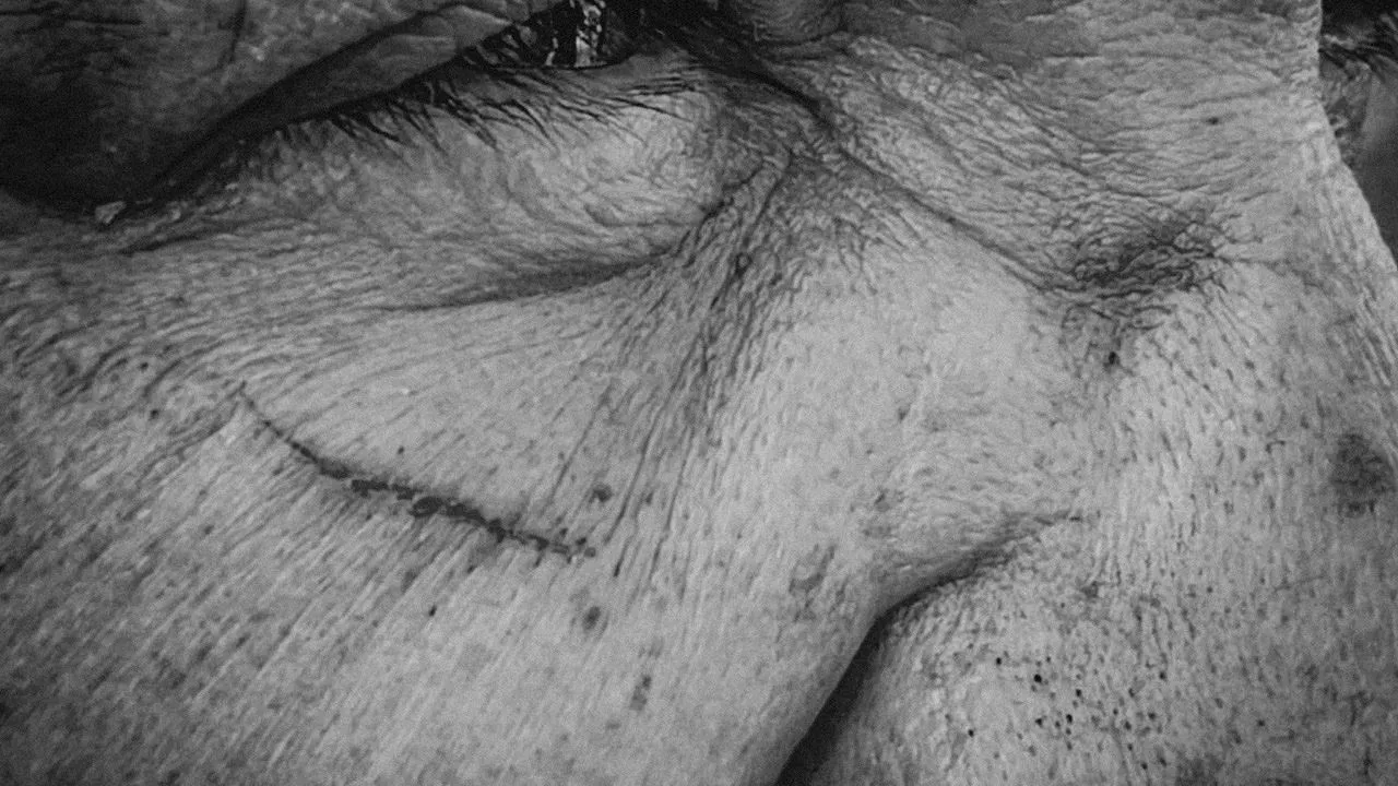 En el violento Irapuato, omisión de policías y tránsitos permite golpiza a reporteros que cubrían accidente