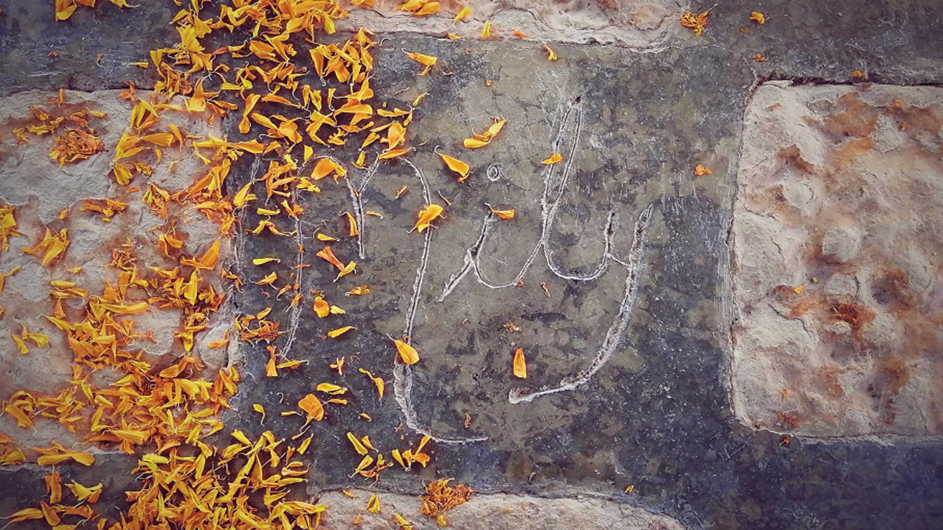 Día de Muertos: “Lo que nos cambió fue la desaparición”