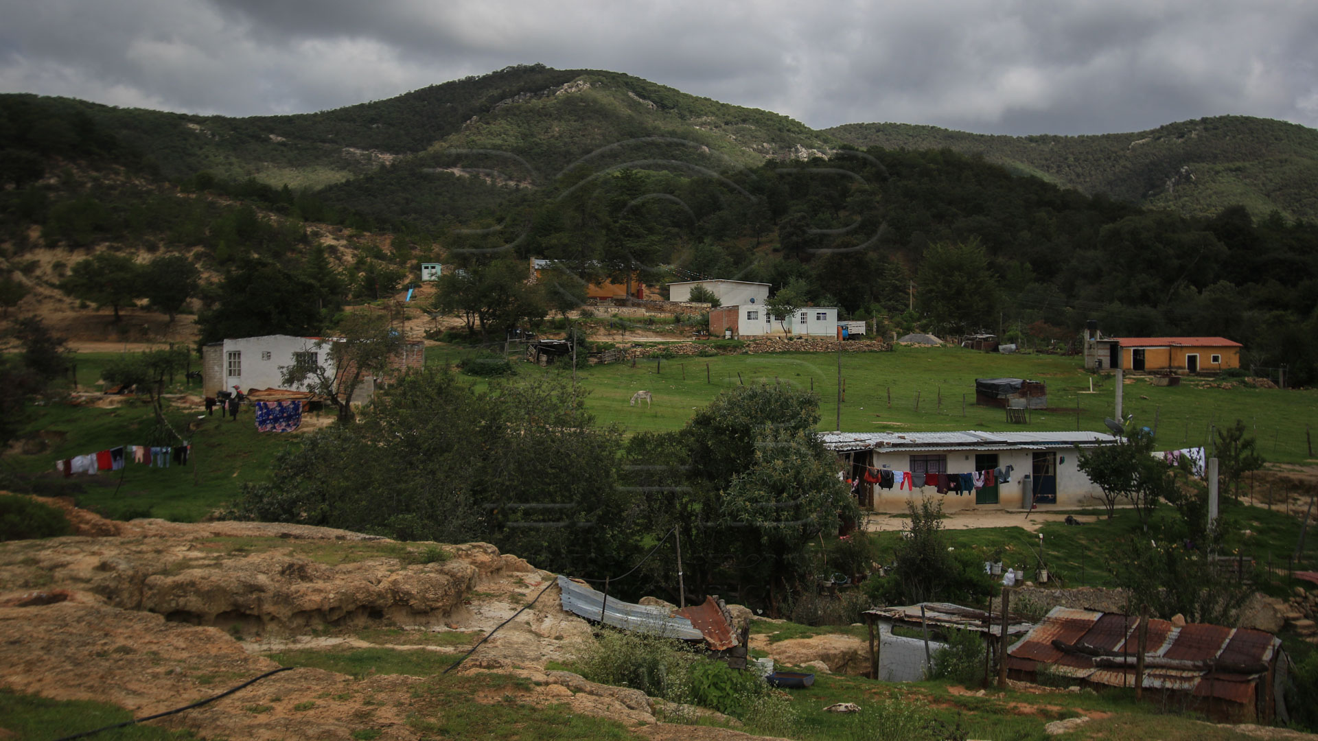 Gana amparo comunidad marginada al “mejor sistema de salud”