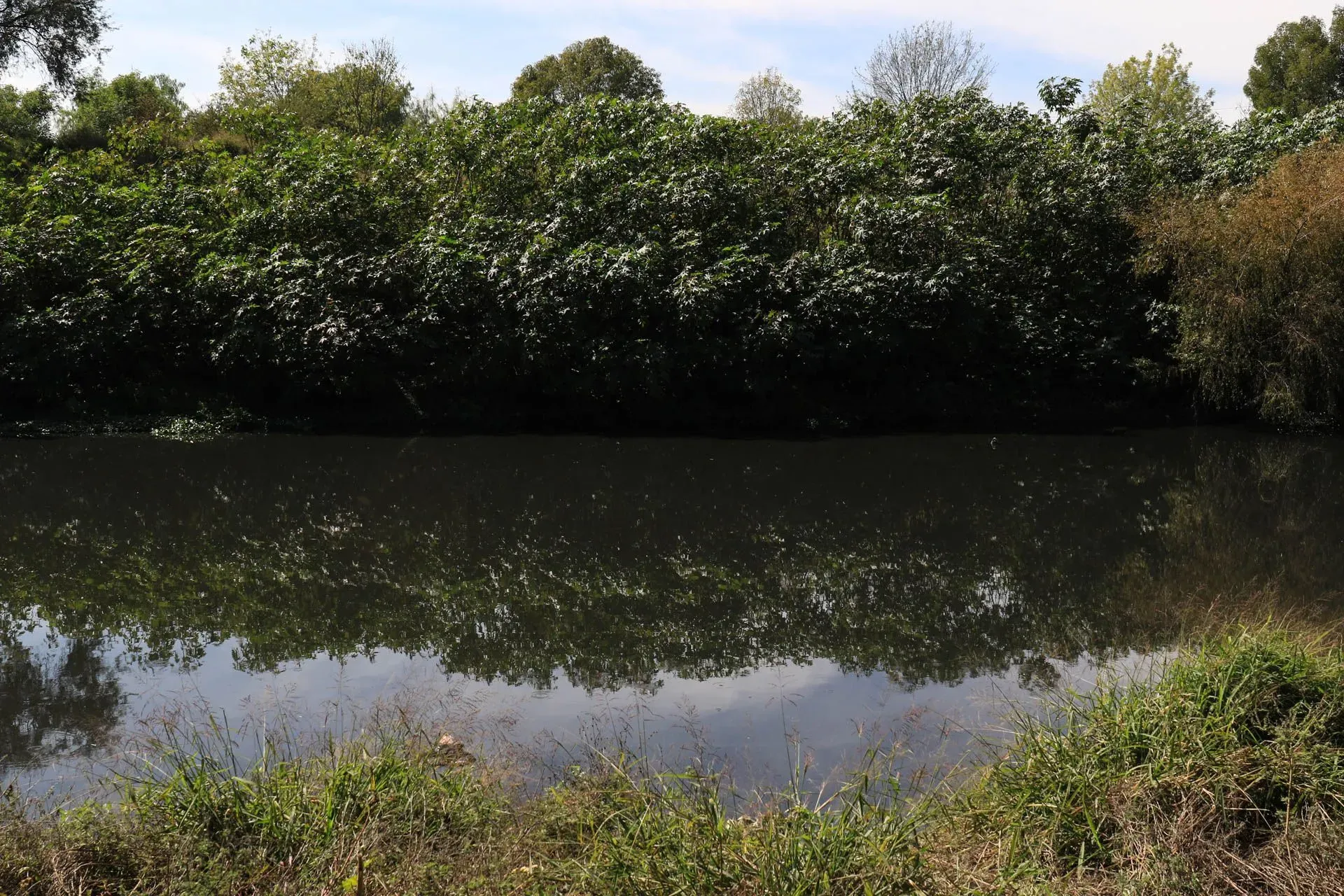 Al pie del río Lerma en el municipio de Salamanca de inmediato se perciben aromas fétidos. Foto: Juan José L. Plascencia