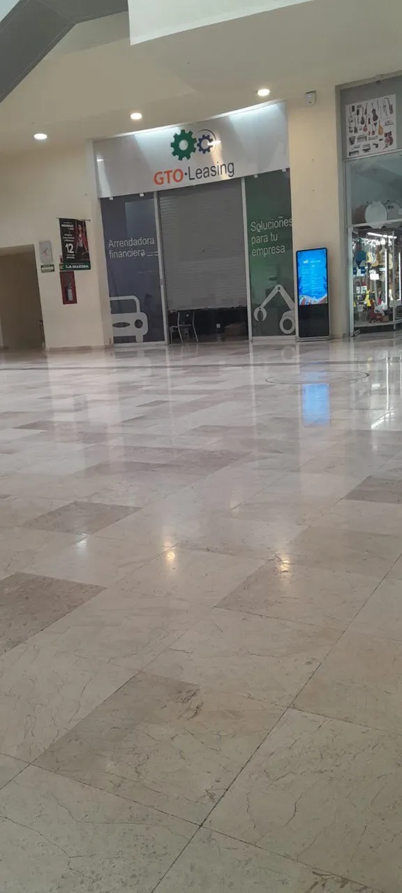 Cortinas GTO Leasing 