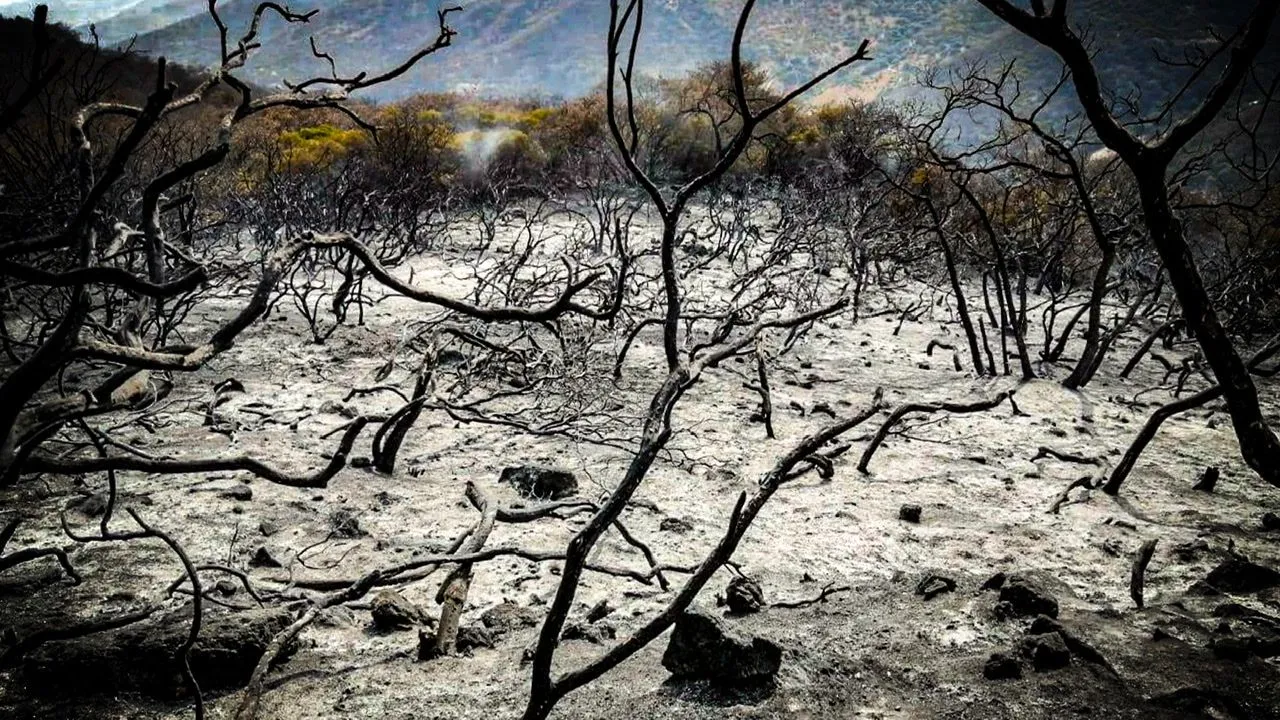 El gobernador vacaciona en los parajes de Xichú mientras los incendios flagelan la región