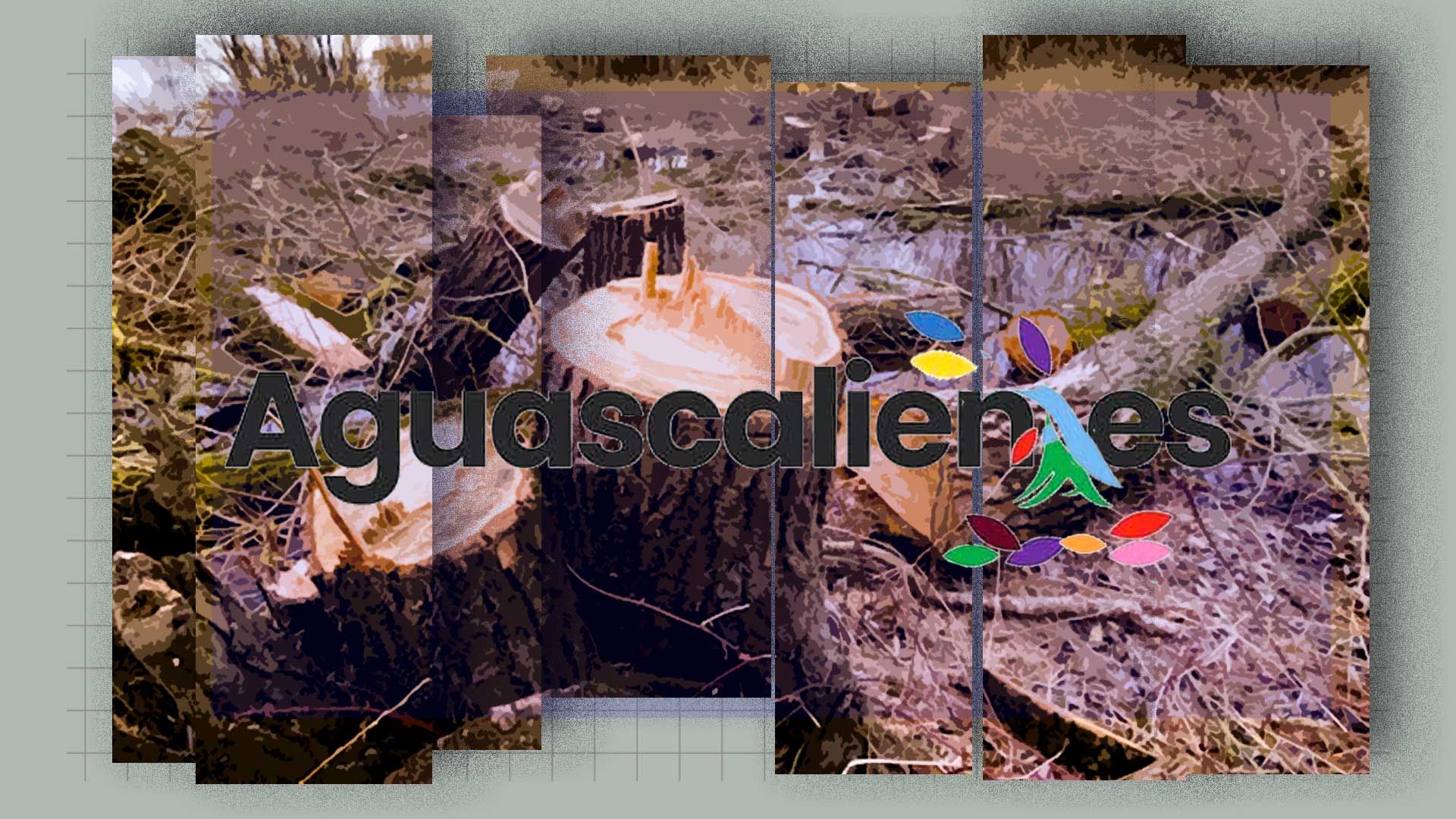 Protege Juez área natural protegida y sentencia por desacato al Municipio de Aguascalientes