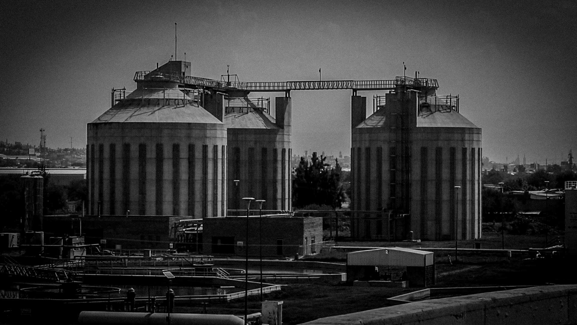 Los Verdes de Guanajuato, una carga para el ecologismo