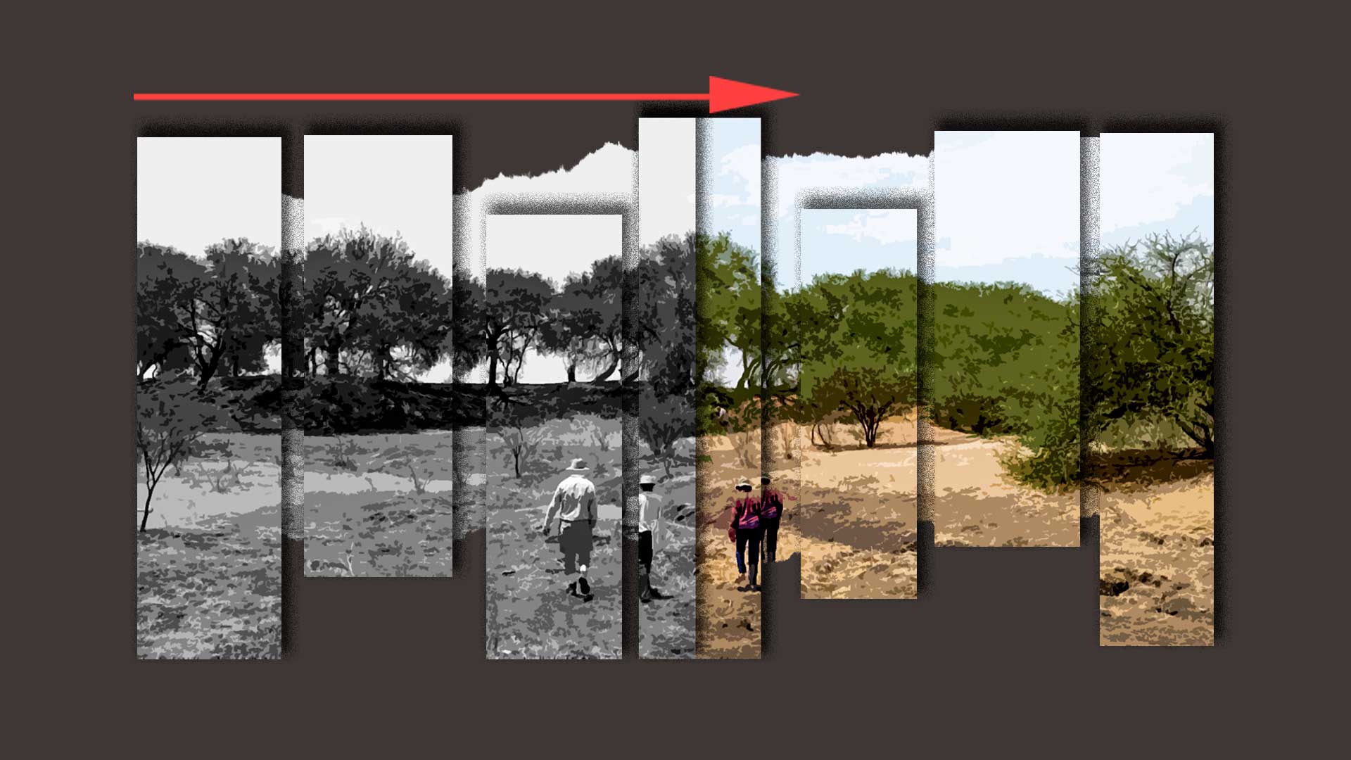 Nuevo ordenamiento ecológico elimina 10 mil hectáreas de conservación ambiental en Aguascalientes