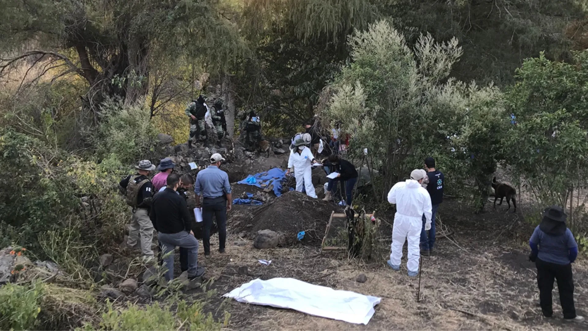 Guanajuato: desapariciones, fosas y silencio gubernamental
