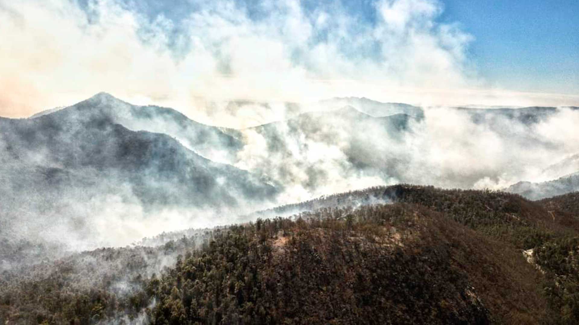 Incendio en Santa Rosa, segunda contingencia ecológica de la capital en un año