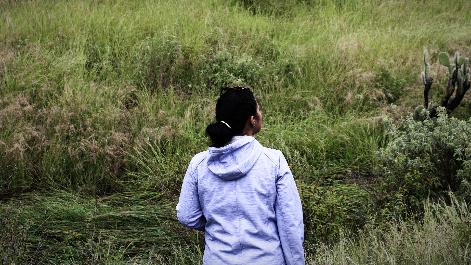 Amparo refuerza movilización de Aldama: juez suspende relleno