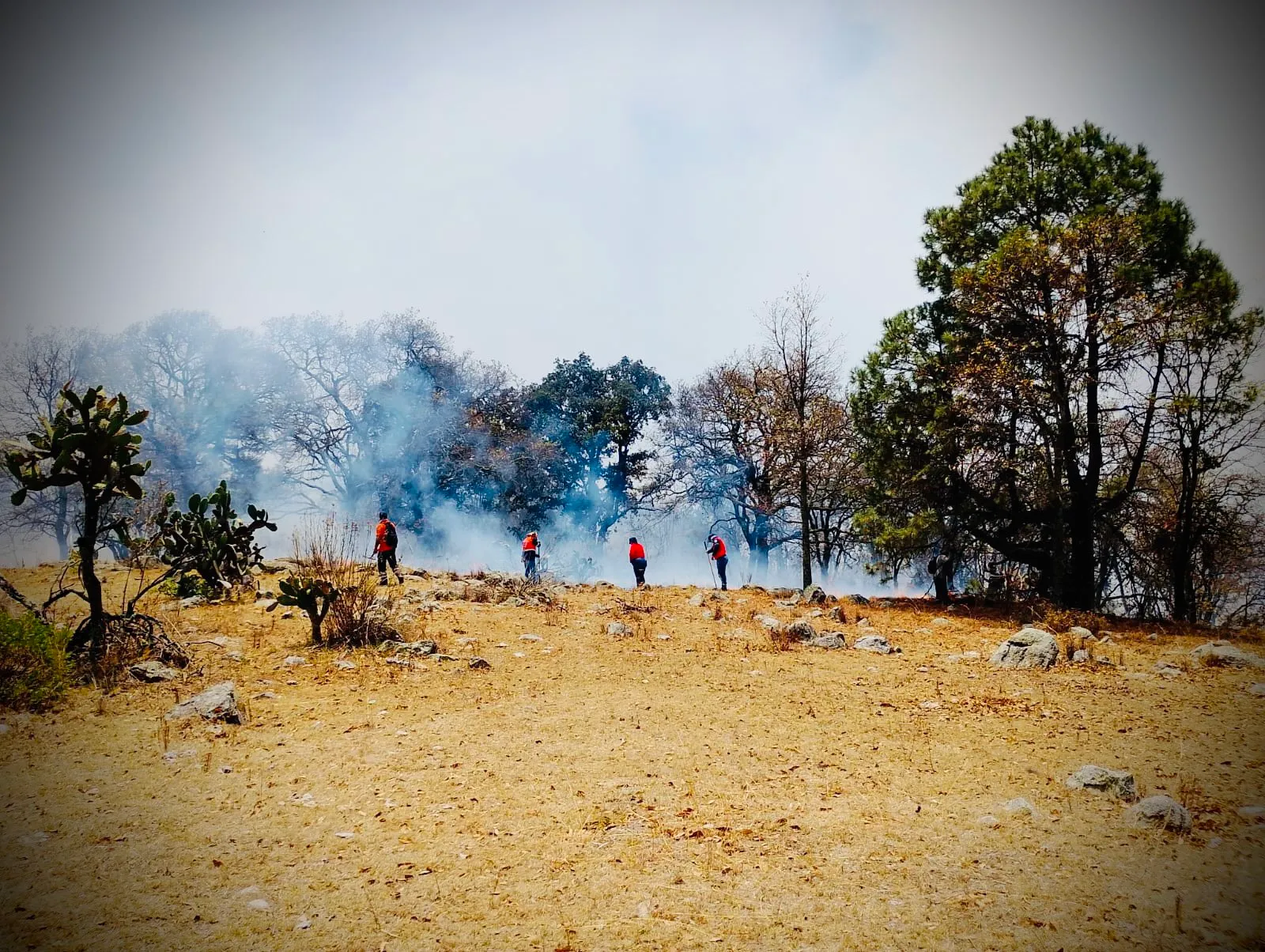 Foto: Especial Incendio en Guanajuato