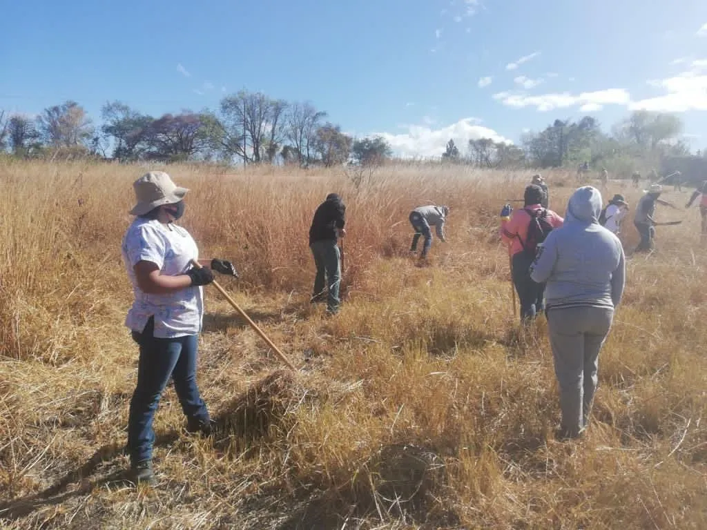 Escatima Diego presupuesto para Comisión de Búsqueda: de los 8.8 mdp, el 67 por ciento se queda en nómina