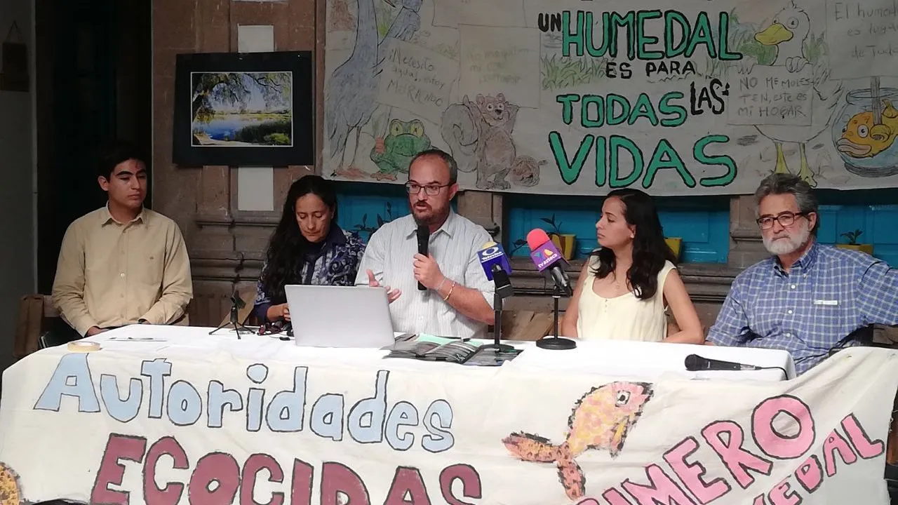 Profepa otorga "acuerdo de admisión para investigación" por denuncia de obras en humedal Los Cárcamos