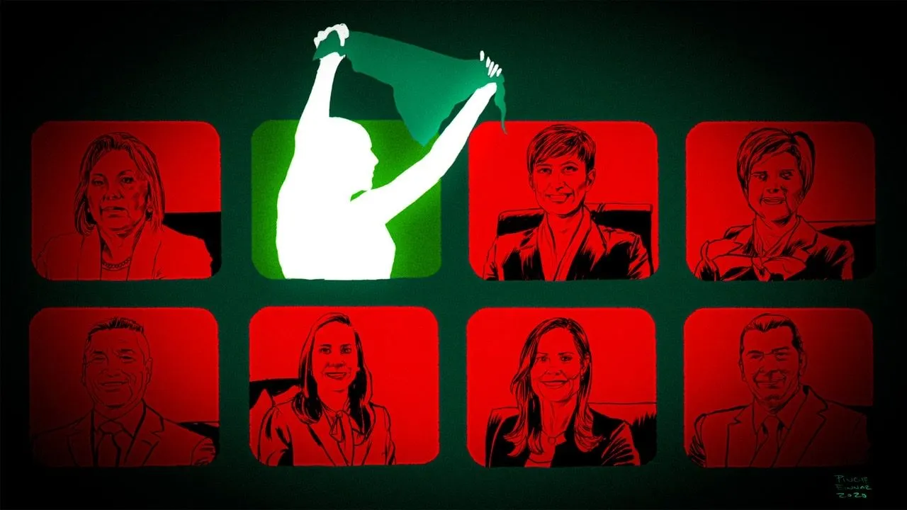 "No fue, pero será": la lucha por la despenalización del aborto sigue