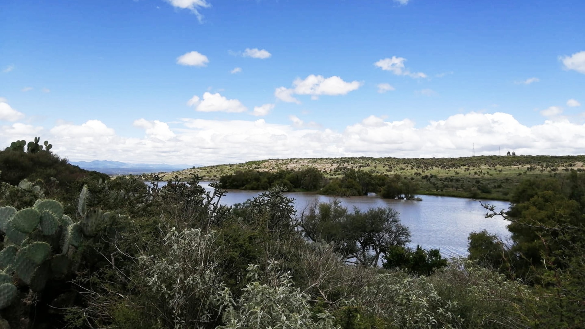 El Charco del Ingenio vence especulación inmobiliaria promovida por Luis Alberto Villareal