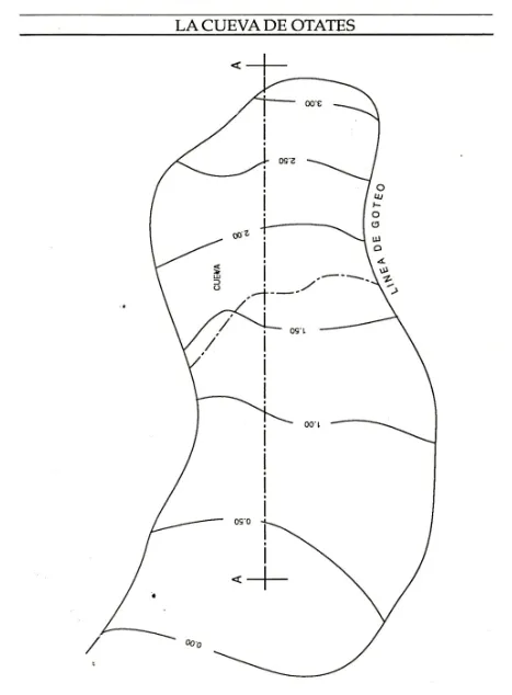 Ilustración tomada de Ramos y Ramírez, 1994