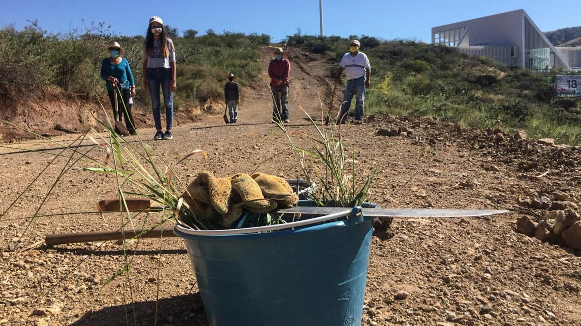 Obligado por denuncia, Navarro reconoce: es Billy Smith beneficiario de camino ilegal