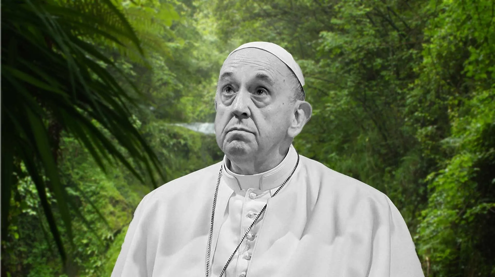 Papa Francisco, se nos ha ido un gran aliado, pero nos deja su legado