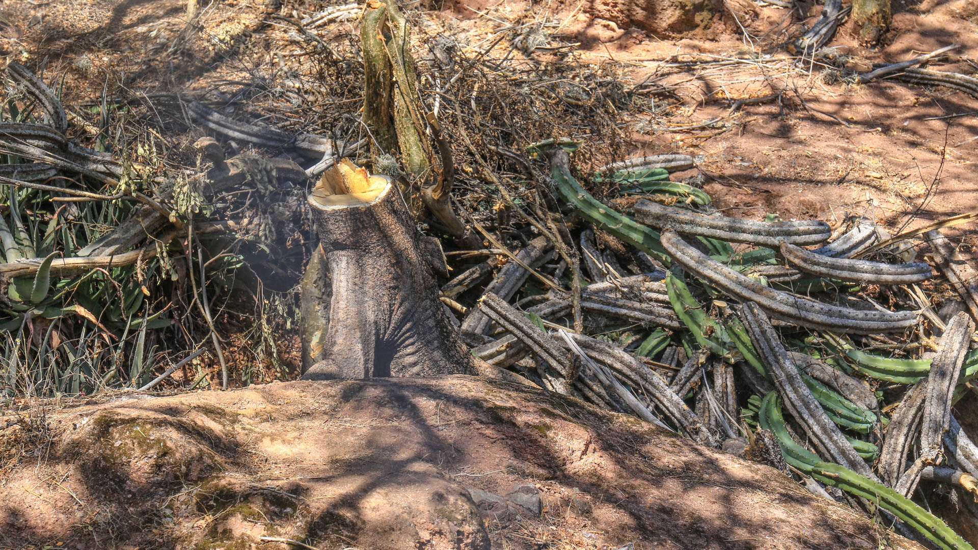 Vecinos de Paseo de la Presa se suman al rechazo a estacionamiento