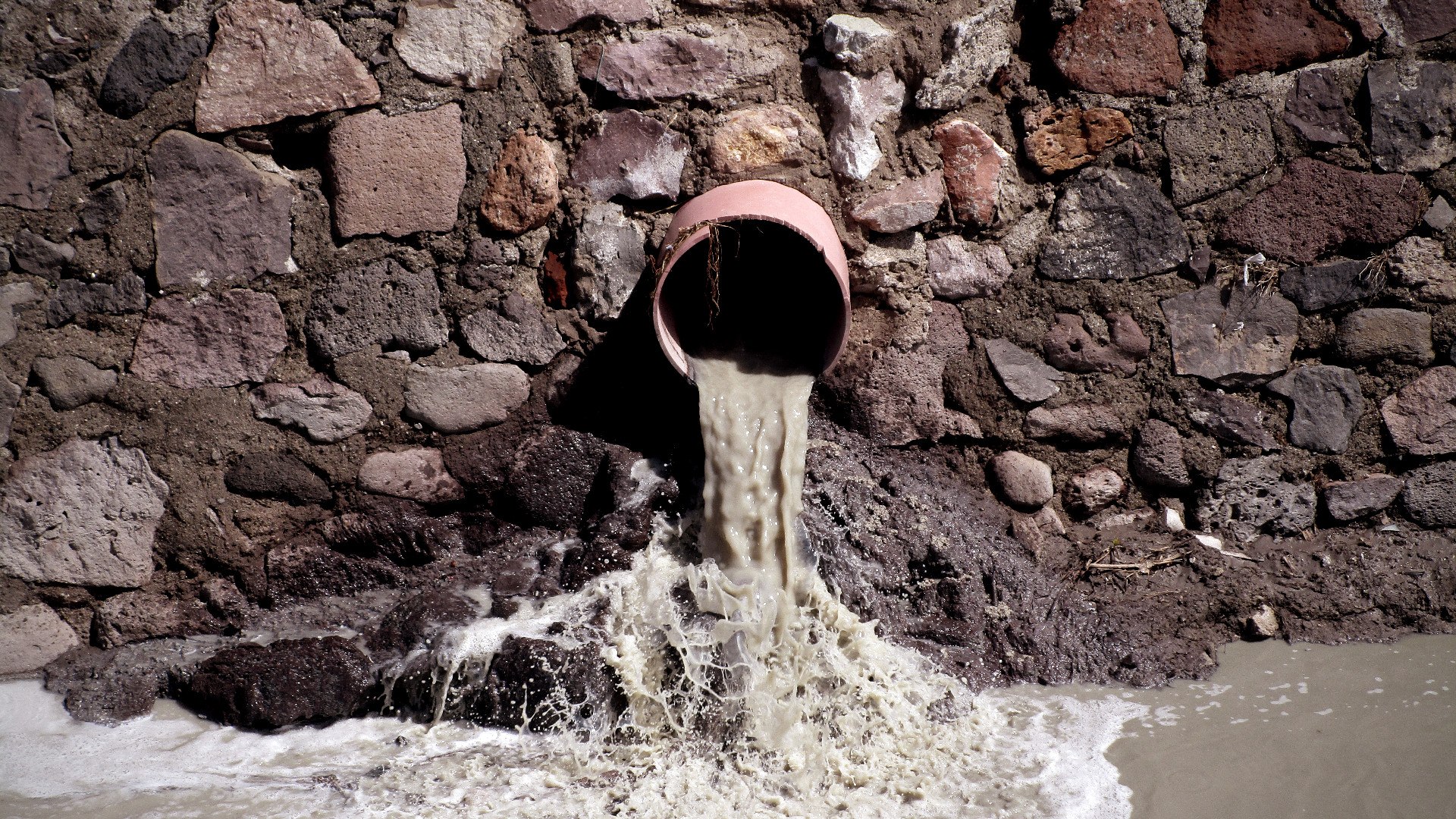 Organizaciones exigen rendición de cuentas a SAPAL y descarga cero de contaminantes a industria curtidora