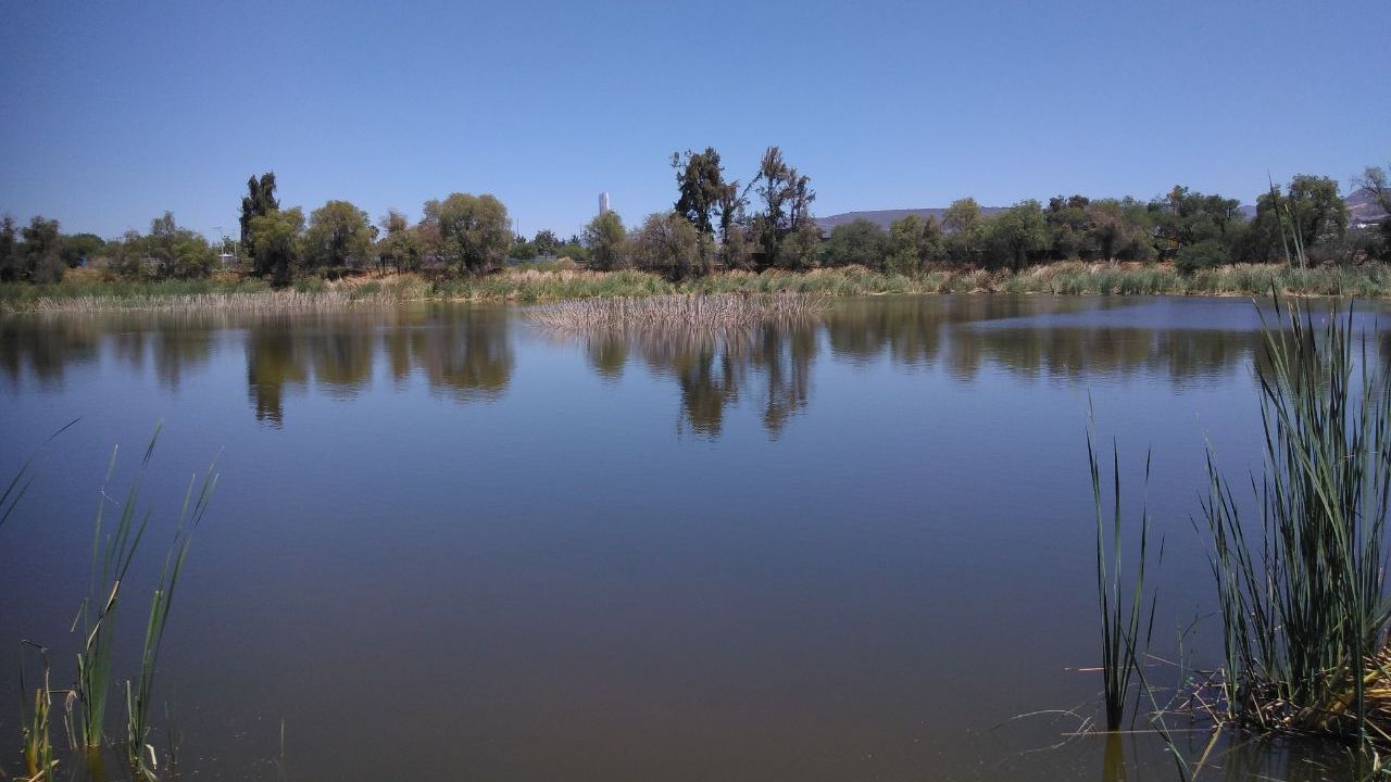 Proyecto City Center, Parte I. Apetitos personales, silencios cómplices y corrupción