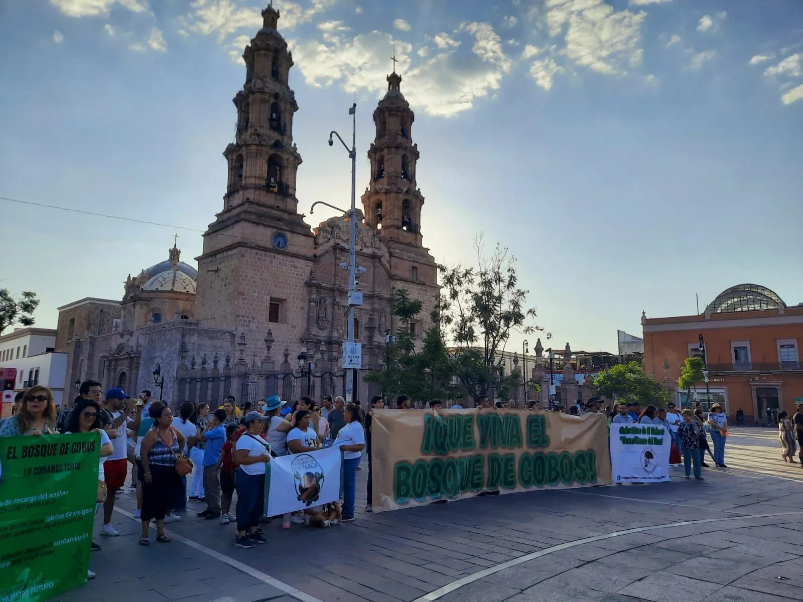 Ciudadanos protegen a Bosque de Cobos frente a constructora de Grupo San Cristóbal