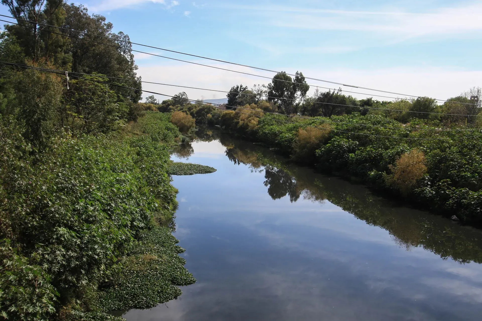 El río Lerma se conecta con el río Laja cerca de la comunidad de Los Vázquez, en el municipio de Salamanca, Guanajuato. Foto: Juan José L. Plascencia