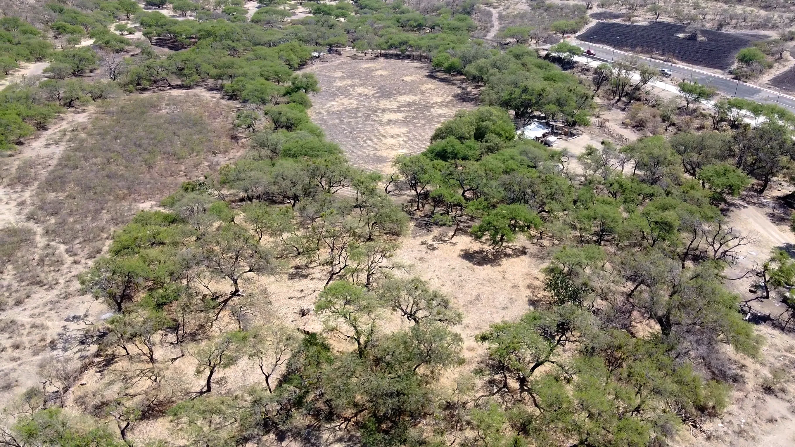 Toma de dron del predio, donde se observa el patio hundido entre los árboles. Fotografía: José Diego.