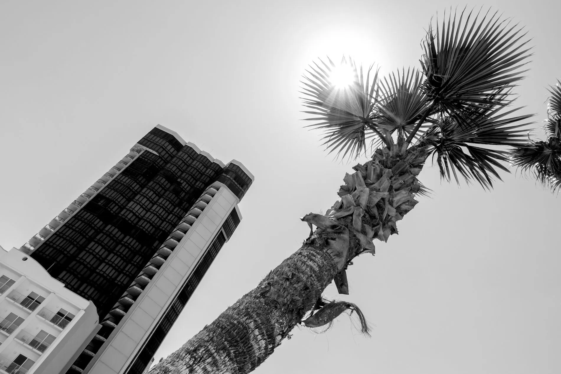 La unidad 1401 de esta torre de condominios frente al mar, de 28 pisos, se vendió en una subasta de gobierno por 640 mil dólares en 2013. Los fiscales federales en Brownsville habían alegado que el condominio fue comprado por un testaferro del ex gobernador de Tamaulipas Tomás Yarrington Ruvalcaba. El político se declaró culpable de un cargo de conspiración para lavado de dinero en marzo de 2021.