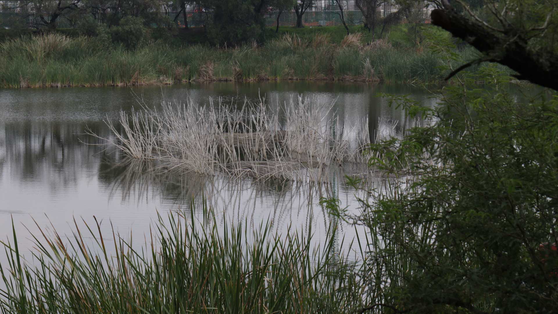 Ocurrió lo que se temía: el parque los Cárcamos se privatiza y el humedal se emplea para la promoción del City Center