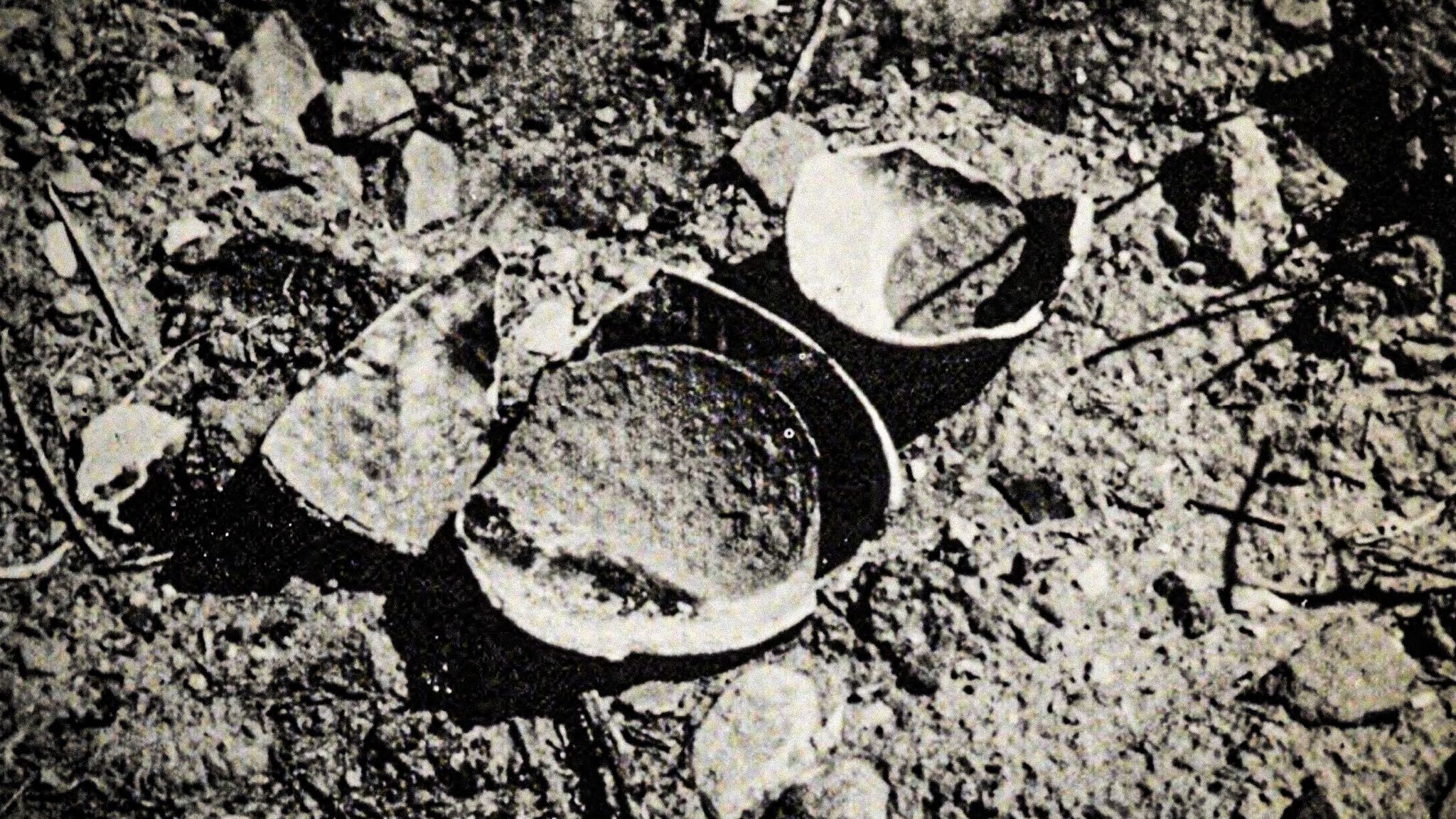 El saqueo arqueológico y las pérdidas que trae consigo