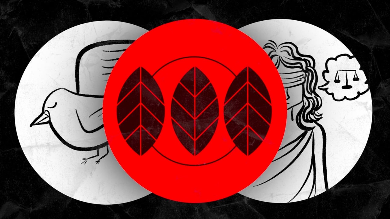 Buscar no debe costar la vida