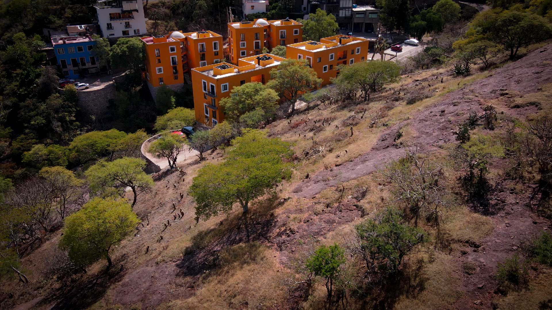 Usurpa Navarro autoridad federal y valida tala para emporio turístico