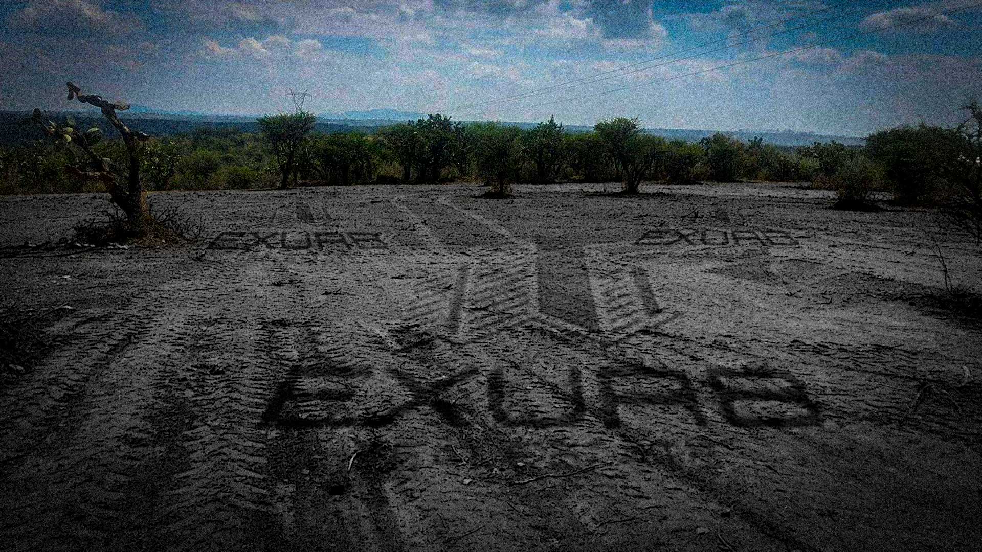 Inmobiliaria guanajuatense deforesta zona del Bosque de Cobos